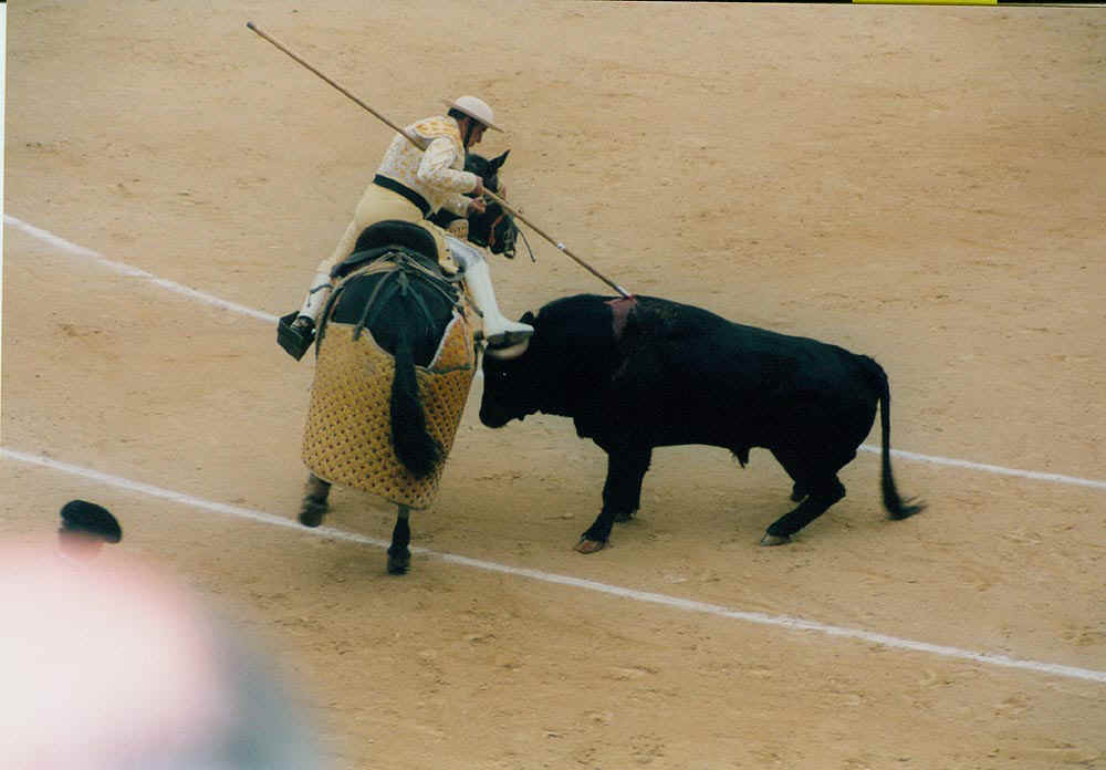 17Madrid2001.jpg (107895 Byte)