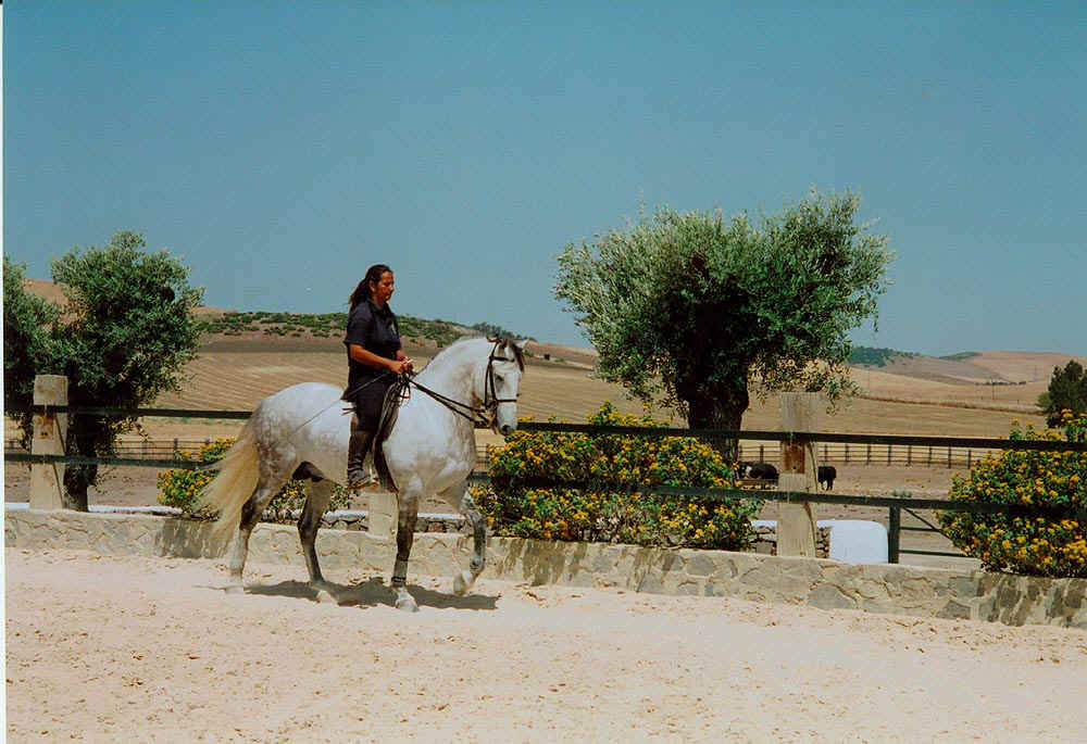 41Conil2002.jpg (163960 Byte)